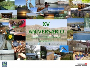 Cartel XV aniversar